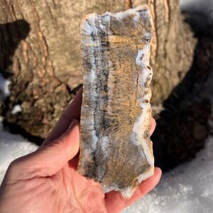 Graveyard (3) point plume agate slab with stand | crystal